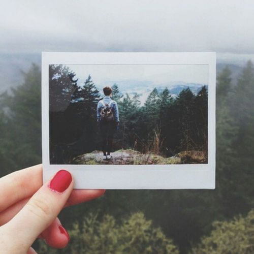 Spectruvm's tweet image. //