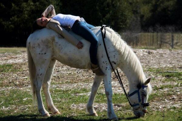 GeldingProblems's tweet image. Another photo from our photo shoot last May. 10 favourites and I will post one every hour today!