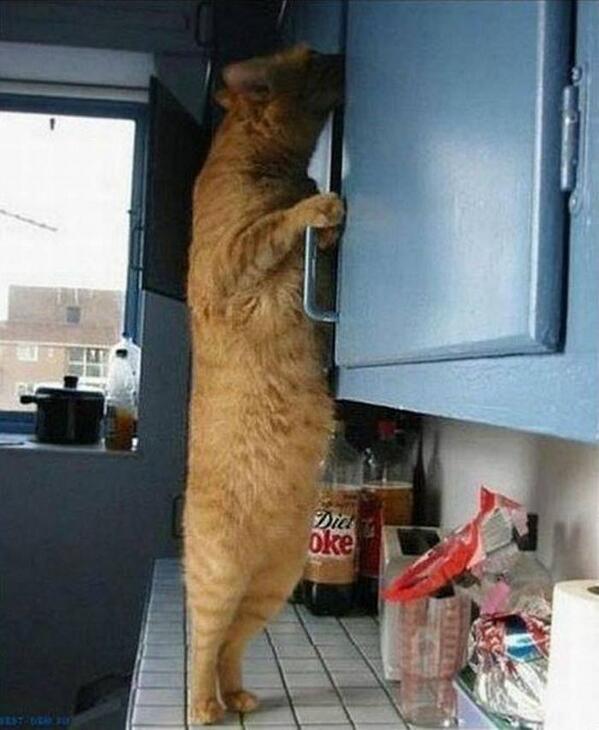 Luna1177's tweet photo. ✿ℱℱ✿° #LOVE_LIGHT
▀██▀▀░╗╗░░░░░▀██▀▀░╬░║░°  
═██▀╔╗║║╔╗╗░╦░██▀╔╗╦╔╣╔╗╗╔εїз ▄██▄╚╝╚╝╚╚╚╩╝▄██▄╩░╩╚╩╚╩╚╣εїз═➤ @ucobudo http://t.co/VzduYKldog