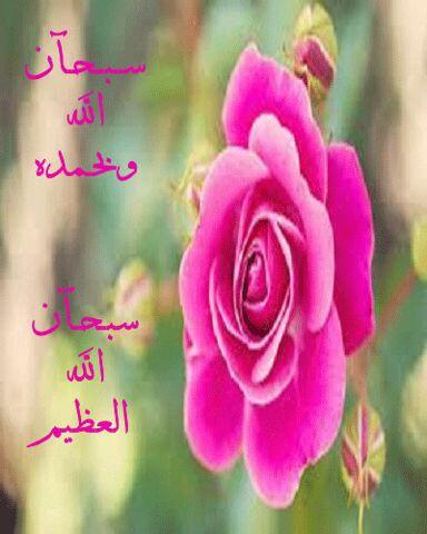 usrne1 tweet picture