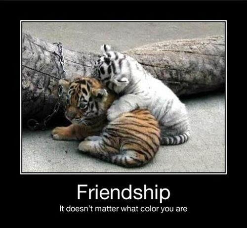 AdvancedDating's tweet image. 