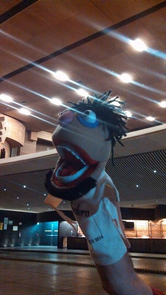 MEXPROG's tweet image. ¿Que estará haciendo #Proggy el necio? #TeamMexprog