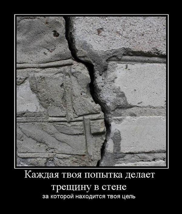 никогда не здавайся