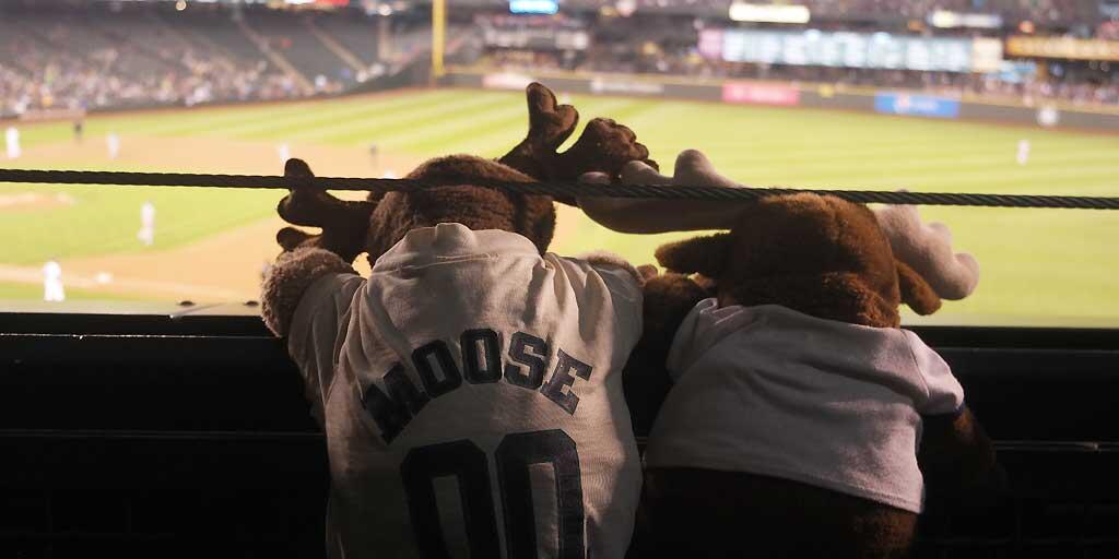 Mlb On Twitter What S The Plural For Moose Moosen Http T Co