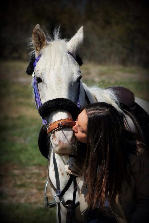 GeldingProblems's tweet image. Hourly picslip from the photo shoot.