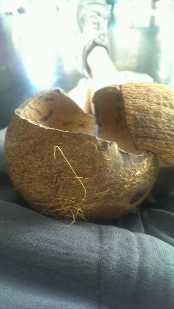 spooglieboy's tweet image. Currently playing these #what #coconutshells