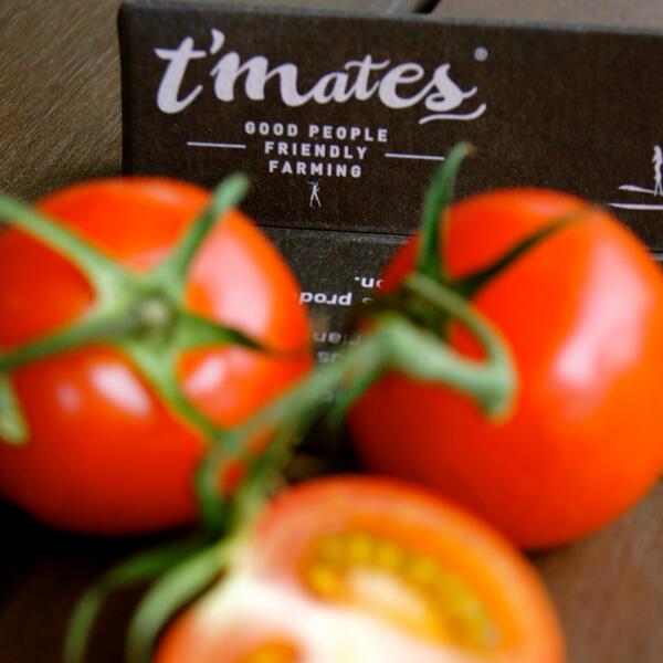 DelCampo_tmates's tweet photo. @sthrnfairytale can't wait to see your goregous recipes in a few weeks featuring #tmates have you seen us in @HEB http://t.co/nHhIETiX8j