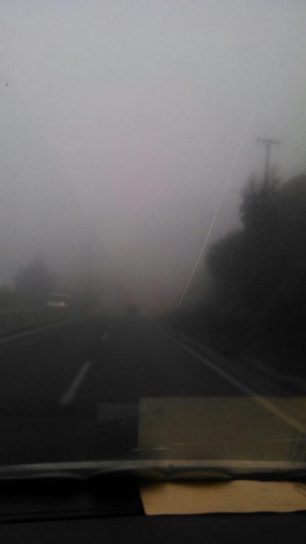 eduhowes's tweet image. Las palmas mucho cuidado