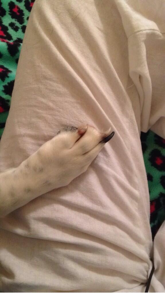 HalleighW's tweet photo. Every girl's weakness http://t.co/zkTZ0fgyIF