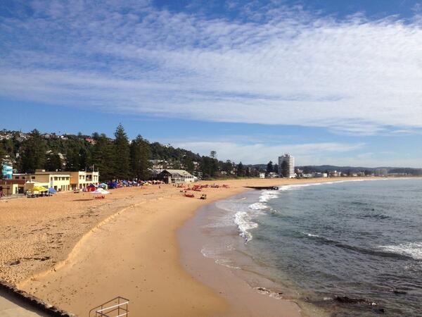 Surf Life Saving NSW tweet media