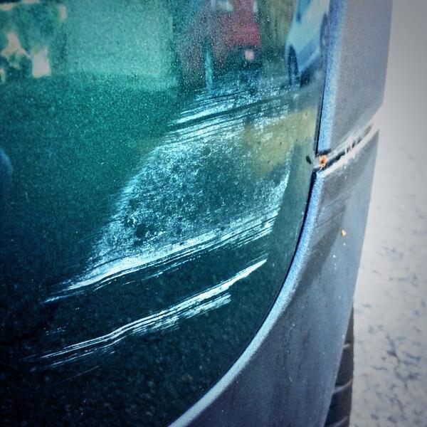 dita_mini's tweet image. Boo! Someone scratched my derrière