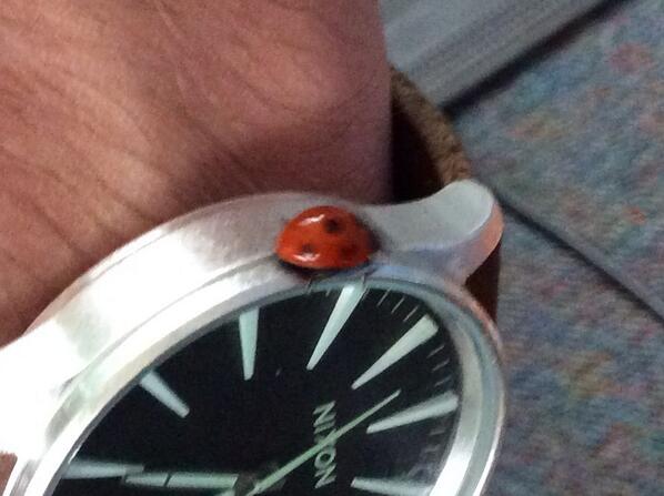 Our newest member: #Daynja