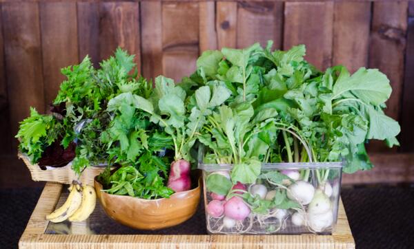 NeilForHawaii's tweet photo. This is how you eat healthy during a campaign. Local fruits and vegetables from a farm in Waimānalo. #NeilForHawaii http://t.co/ZR7GmAGAxO