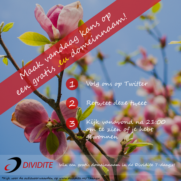 Dividite tweet media