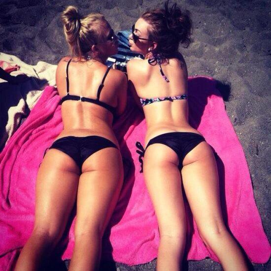 Hump Day tweet media