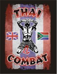 MandlaMicfiend's tweet photo. Nothing like some Thai Combat to start the day! @Krulloyd http://t.co/CBqg6i1kRh