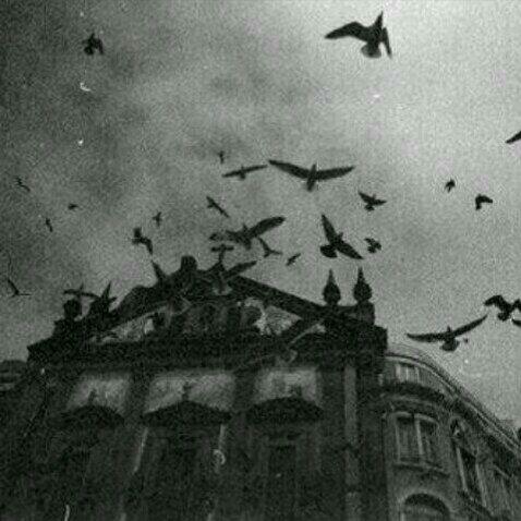 wadha_a2's tweet photo. الحُبِ المُزيفُ كاِلطيوُرالمُهاجِرة كلمّا سَاء الجِو أعلنتُ الِرحِيل ...♡ http://t.co/TGrnyG7GRO