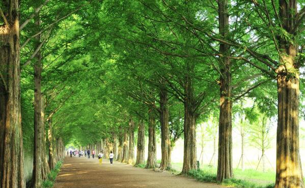 5월 봄나들이, 가족과 함께 걷기 좋은 길 10곳. goo.gl/gyIgo1