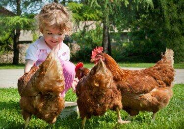CollegeTourUs's tweet photo. Especial granjas escuelas para los mas peques, donde el contacto con la naturaleza les hará despertar su imaginación! http://t.co/zXQ5K0l7qm