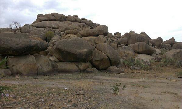 هيثم السيد ودالريف (@haithamelseed88) on Twitter photo 