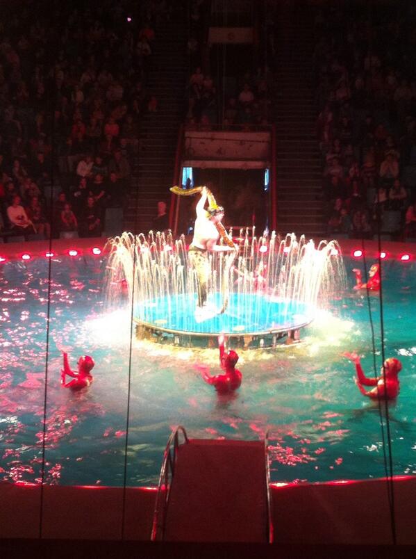 CheGev's tweet image. В цирке