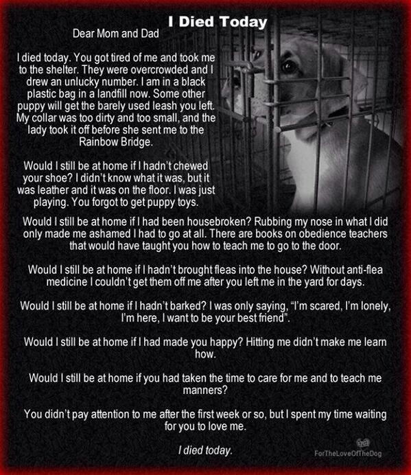 setters99's tweet photo. Sad that those who it applies to would never bother to read it. #cryALERT RT @DogRescueTweets: I DIED TODAY http://t.co/a7QF4T7F8a