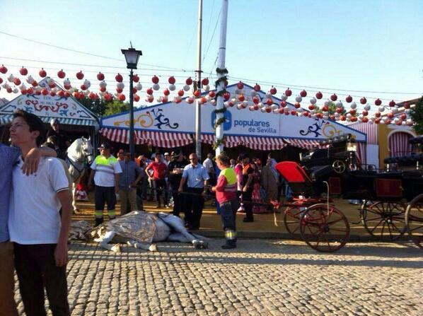 Posture0Andaluz's tweet photo. Los caballos en la feria no pueden ponerse a la sombra ni beber rebujito para matar el calor. ELLOS TAMBIÉN SUFREN. http://t.co/rChkCeHc4S