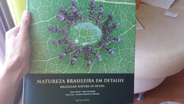 Mohammed Yahia tweet media