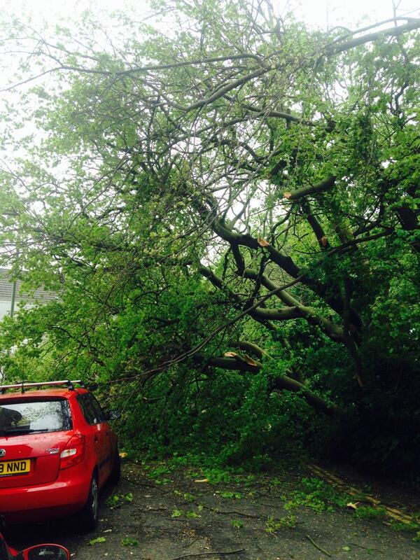 Michelle_theTXn's tweet photo. Almost killed coming home. Sorry Mother Nature lesson learned. I'll recycle you can call off the hit now. #goinggreen http://t.co/TRCr6PXPIF
