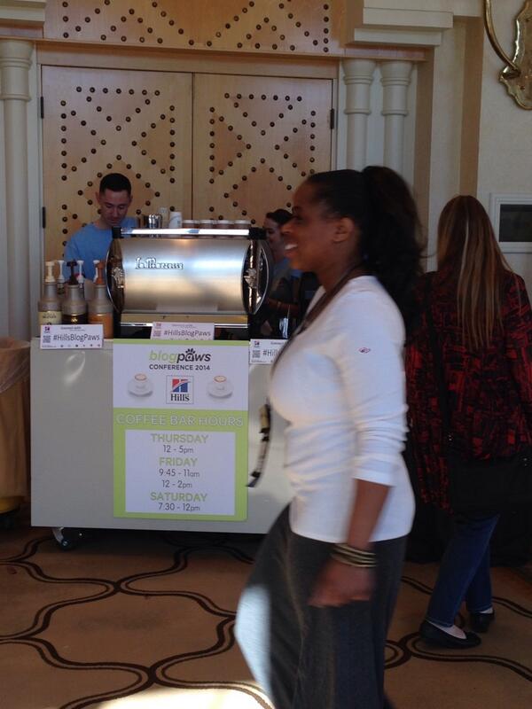 #YES #coffee #hillsblogpaws