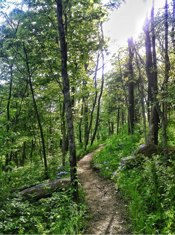 IVcycling's tweet photo. Beautiful day for a ride! Trails at Matthiessen are in great shape #getoutandride http://t.co/Ua1lTZaztx