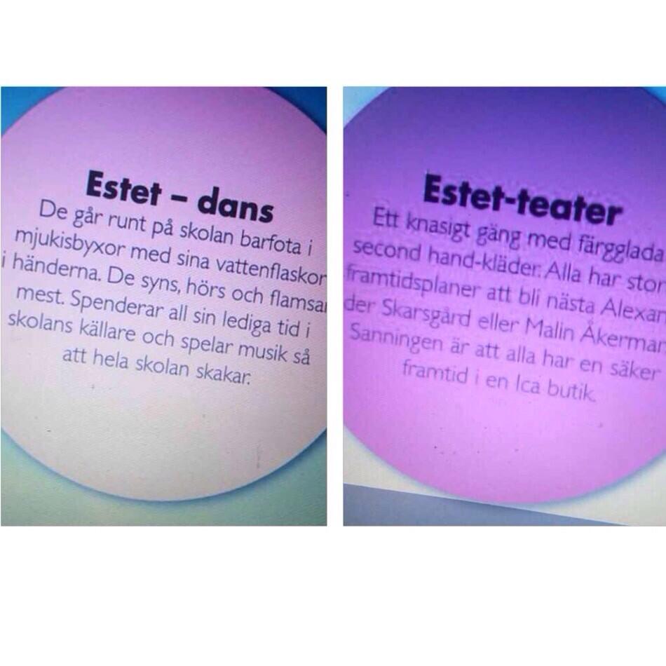 Elina Bergholtz on Twitter "Är vi så störande som går estet? Haha