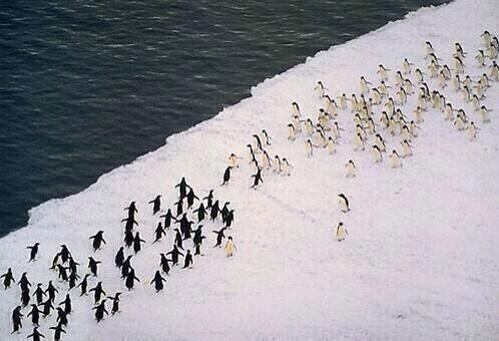 ClashJokes's tweet photo. Clan wars be like #clashofclans http://t.co/ctNlF0QKr1