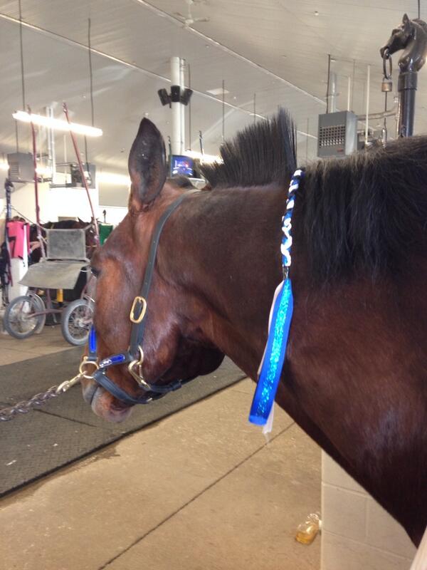 Dave and his sexy mullet checking out the competition <a href="/woodbineracing/">WoodbineRacing</a> #boknowsmomngranny
