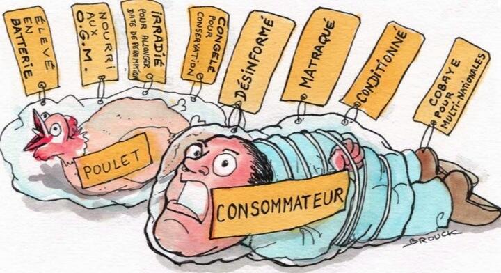 Permalien de l'image intégrée