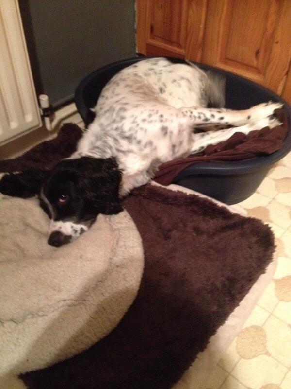 Glyn_Mb's tweet photo. Hard day #so tired http://t.co/009qhHc4ov
