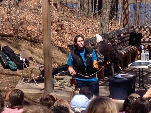slleeper's tweet photo. Angel the eagle #hunthill http://t.co/XttbbzZyDP