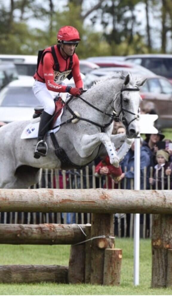 Even Tom has his hooves crossed for tomorrow! <a href="/TapnerEventing/">Paul Tapner</a> #MMBHT