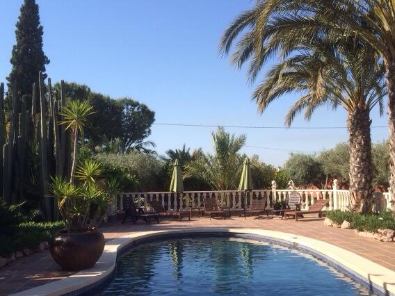 Dear Diary—What I have Done, Learnt, Enjoyed. At El Palmeral Retreat Centre, Costa Blanca, Spain