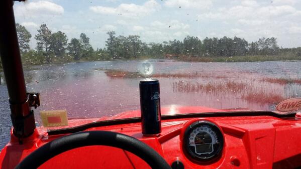 alexaim14's tweet photo. Chilling before, during, and then the aftermath #beatup #crashed #stuck #quickmud http://t.co/WzzjkVaKAs