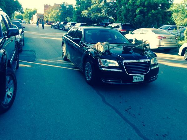 Steve Zank tweet media