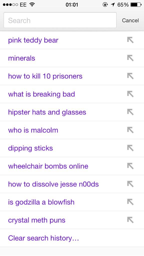 waIterhhwhite's tweet photo. my internet history http://t.co/Wg4rH8RzIJ