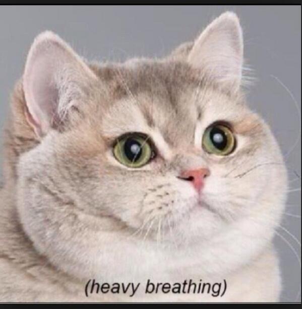 NateMontanez's tweet image. After we get done eating at all these grad parties.... #GradBash2014