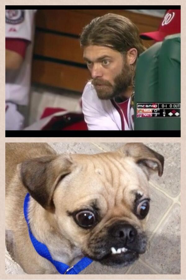 #WerthDog #Go #Nats DH in it