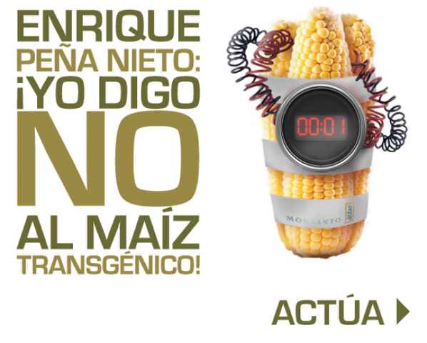 SnMaizNoPais's tweet photo. Básicamente no queremos chingaderas #FueraMonsanto http://t.co/NASs1l1c9D Hoy #CarnavalDelMaiz RT/@ReneSGalindo @misspartes @ne__grita
