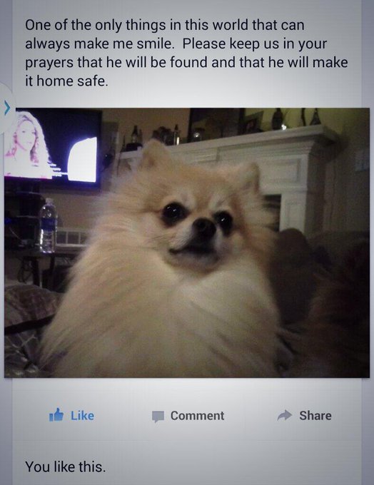 My sister posted this on Facebook (pic is from last night) we all love him to pieces even if he still<a href="/tag/yikes"class="tags"><span>#yikes</span></a>