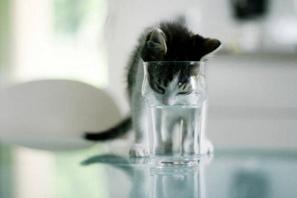 ELLEmagazine's tweet photo. 9 ways to make sure you're drinking enough water: http://t.co/975bD9JiLD http://t.co/zVHS0HygFn