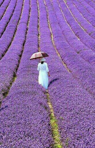 휭힁 바람이 세차다
베란다에 내다걸자
슬픈기억 못된욕심
미운마음 서글픔도

온갖시름 바람에게
내어주자 고개너머 
멀리멀리 실어가라

이제는 미소띤 얼굴
즐거운기억 행복한소망
가슴에 품고서 살련다