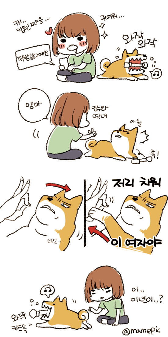 얘가 날 괄시하는 것이 분명하다