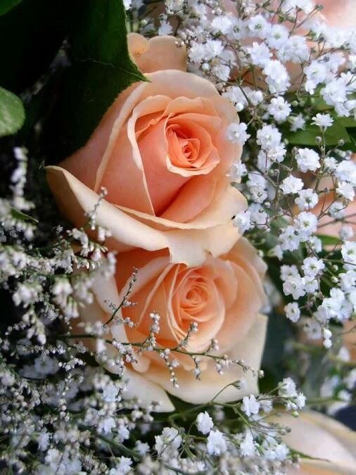 JMGERPSoftware's tweet image. Get online #schoolerpsoftware #collegeerpsoftware help on #jmgerpsoftware visit- jmgerpsoftware.com